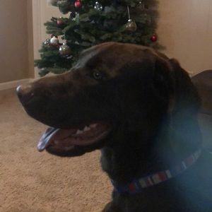 Meet your Posher, Ingrid